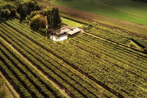 Vineyards and estates of the Acetaia Malpighi vinegar factory